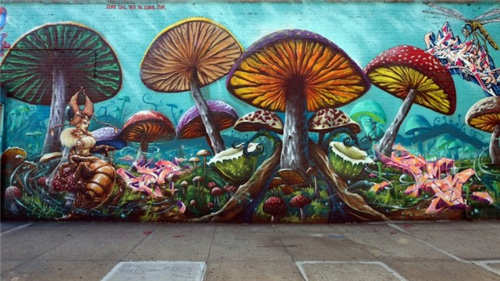 Mushrooms 