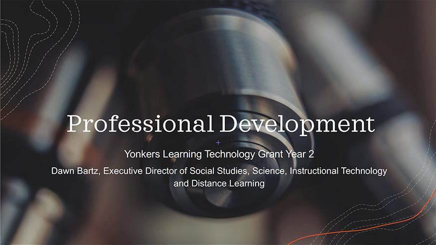 Professional Development Year 2 