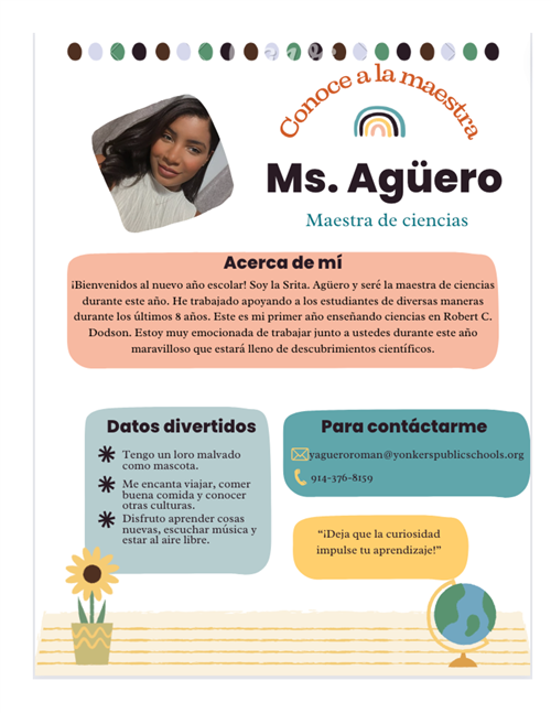 meet the teacher
