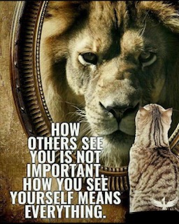 “We must not allow other people’s limited perceptions to define us.”  ― Virginia Satir