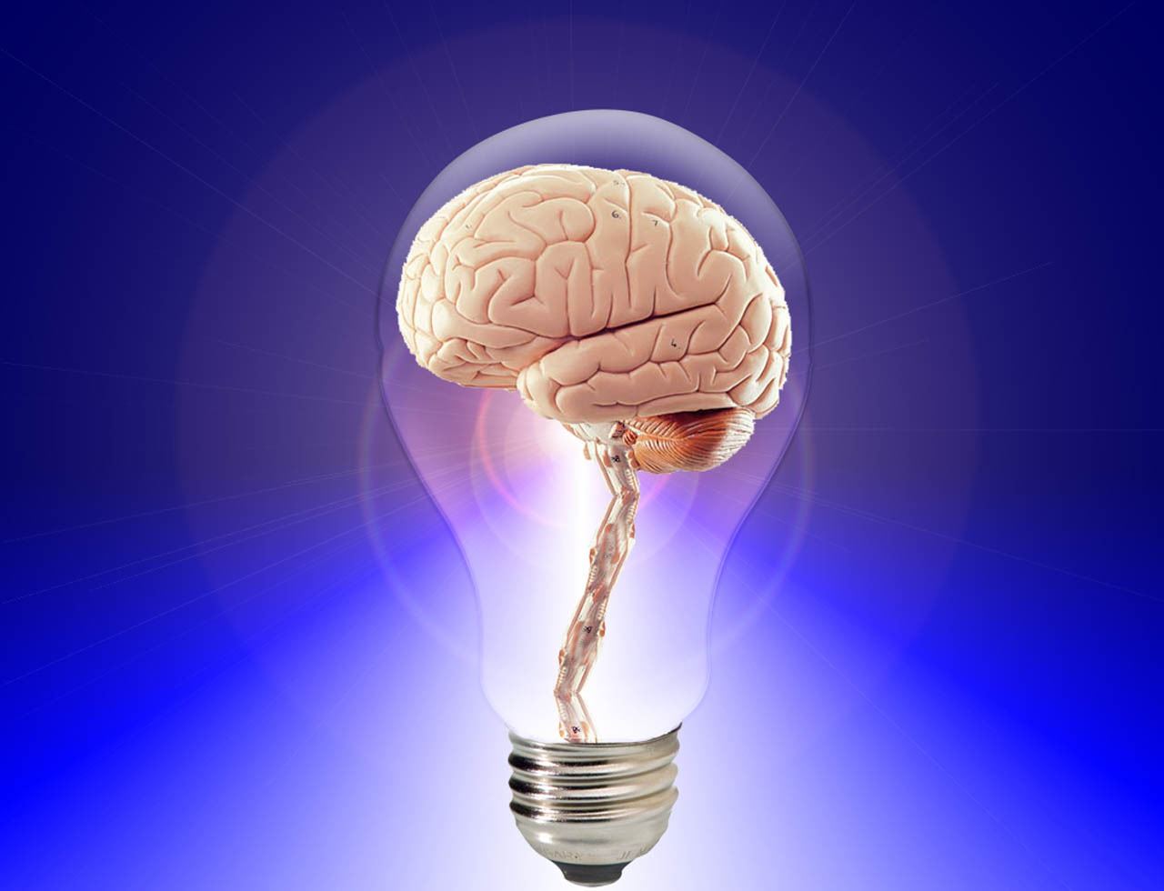 IB Psychology SL