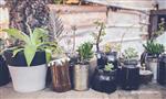 upcycle 