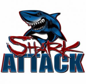 shark 