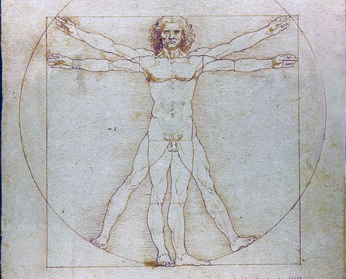 Insert Image