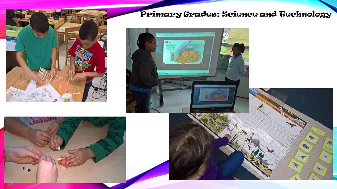 Primary 4 