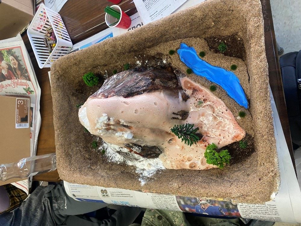  Volcano Model