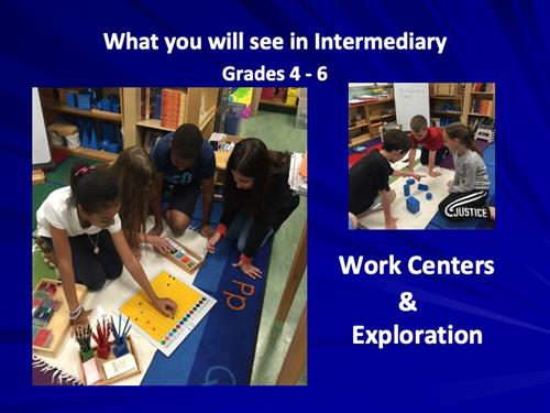 Slide 11 